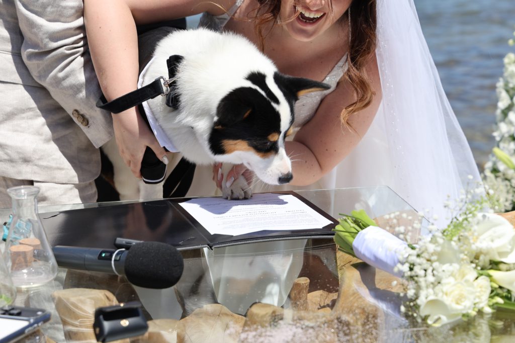Un momento della sposa con il suo cane