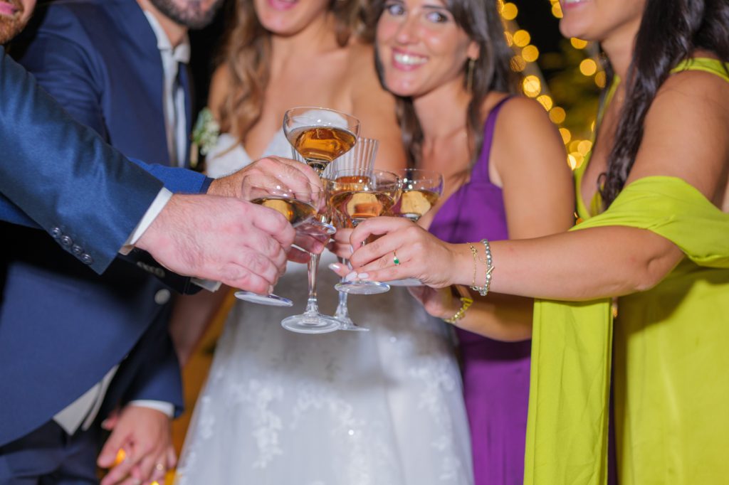 Un brindisi degli sposi con gli invitati